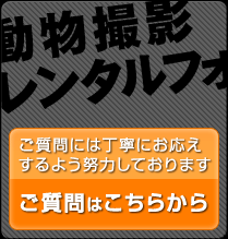 ご質問には丁寧にお応えするよう努力しております　ご質問はこちらから