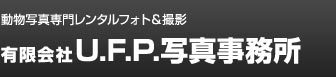 動物写真専門レンタルフォト＆撮影 有限会社U.F.P.写真事務所